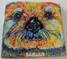 SEVIGNY COASTERS