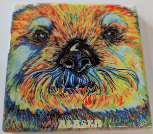 SEVIGNY COASTERS