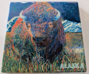 SEVIGNY COASTERS
