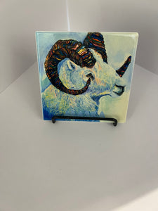 SEVIGNY COASTERS