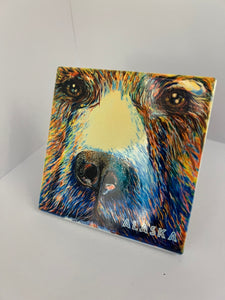 SEVIGNY COASTERS
