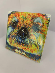 SEVIGNY COASTERS