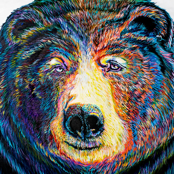 ALASKAN PENSIVE BEAR
