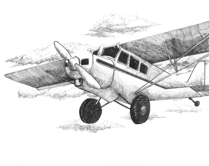 BEAVER PLANE