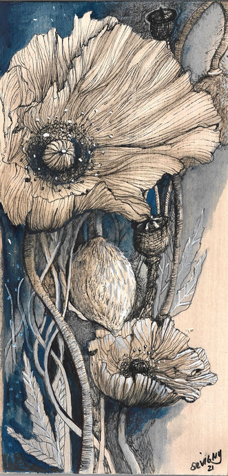 MORNING COFFEE, PRUSSIAN POPPY