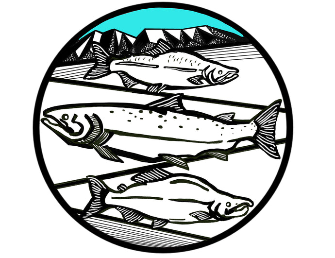 THREE FISH (A DAY IN AK)