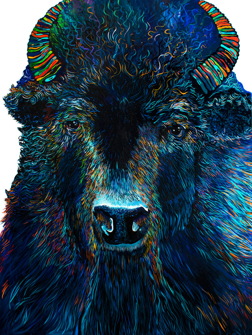 BISON