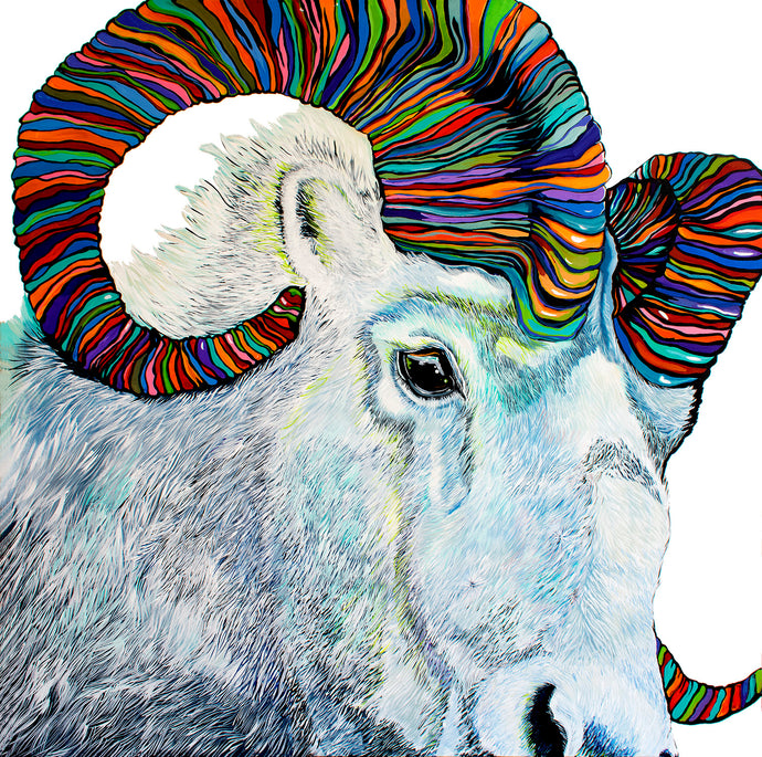 DAHL SHEEP